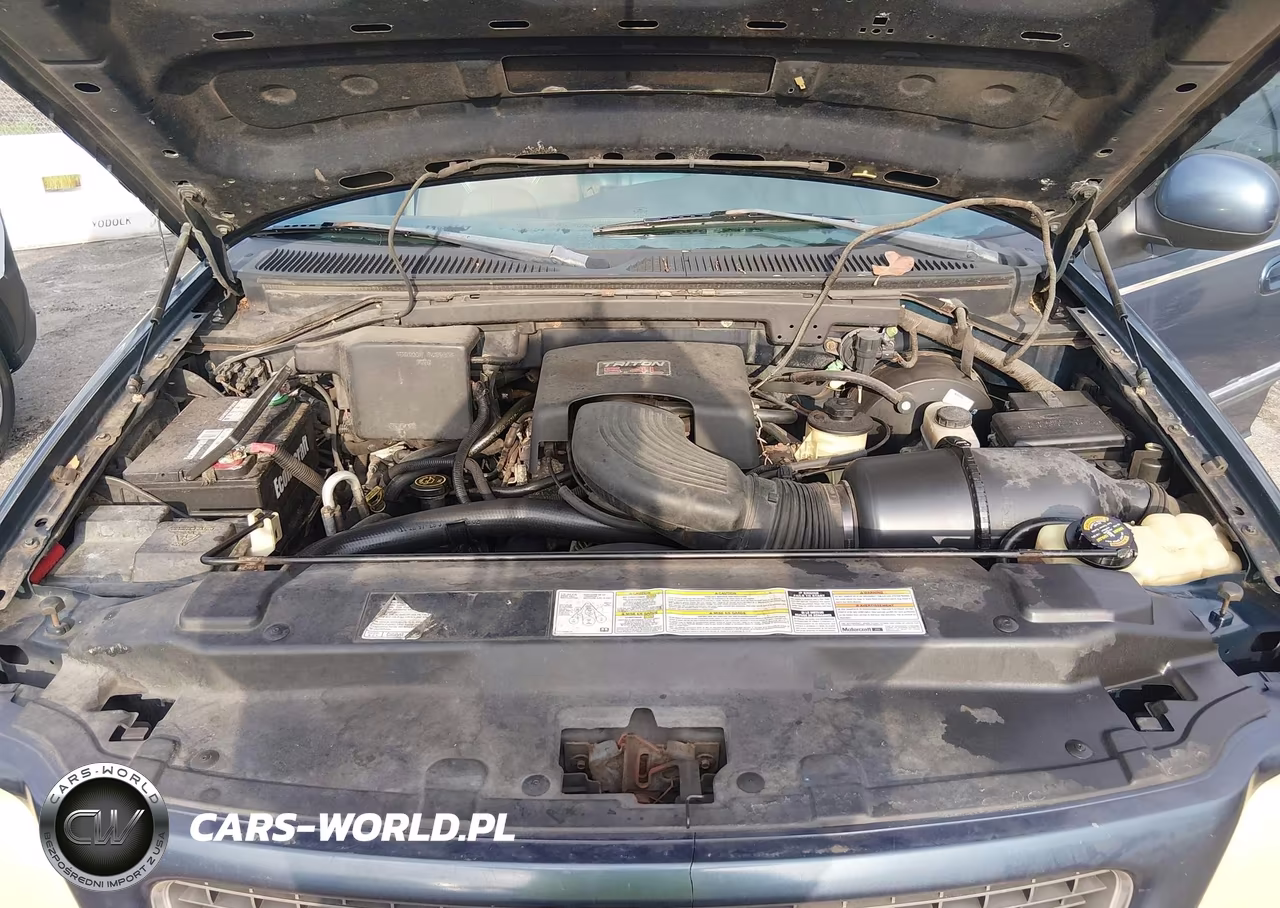 1998 Ford Expedition Eddie Bauer-Xlt VIN:1FMPU18L6WLA89244 - 10