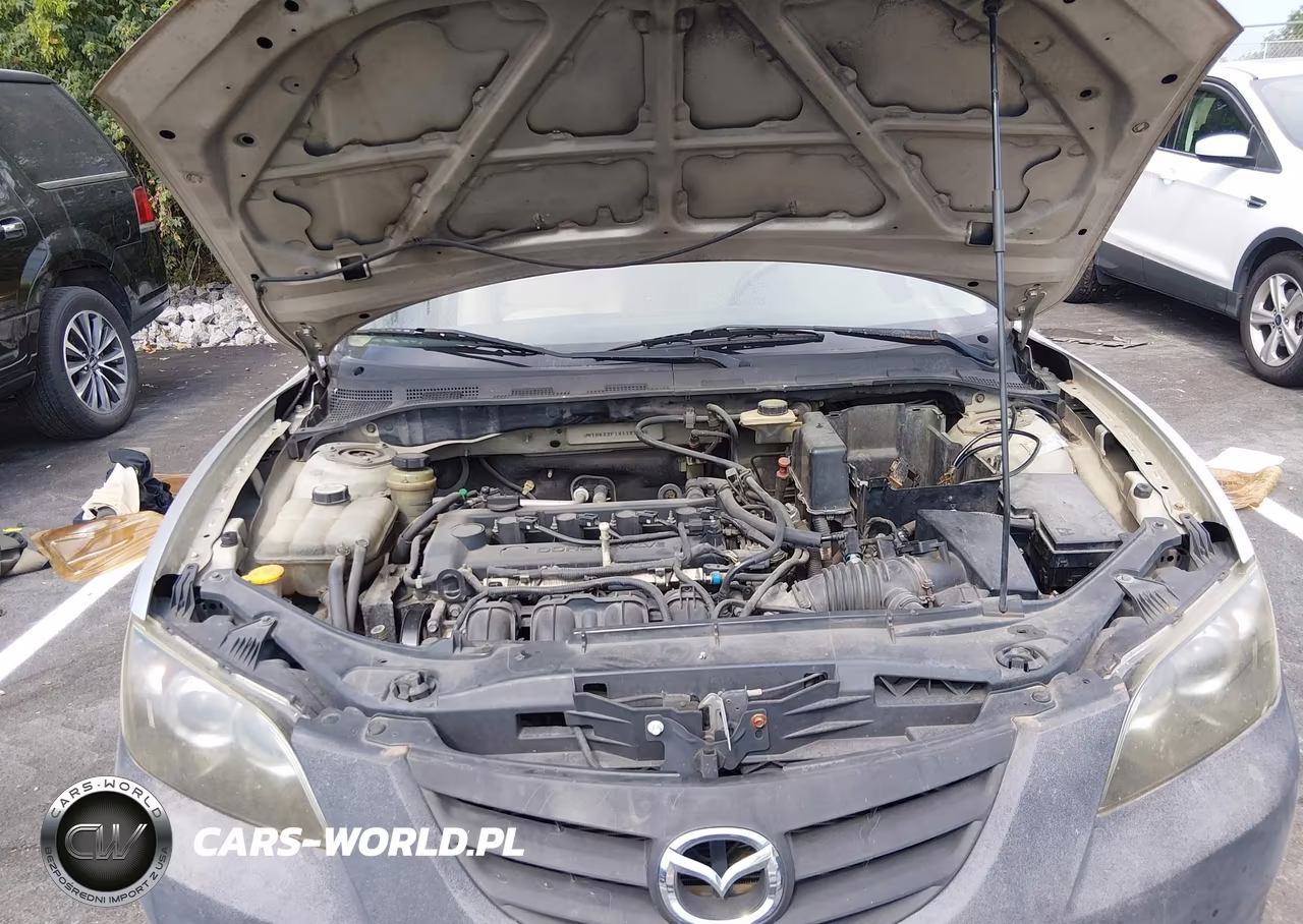 2004 Mazda Mazda3 I VIN:JM1BK32F141121738 - 10