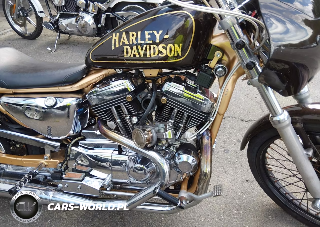 1999 Harley-Davidson Xl1200 C VIN:1HD1CGP12XK134024 - 8