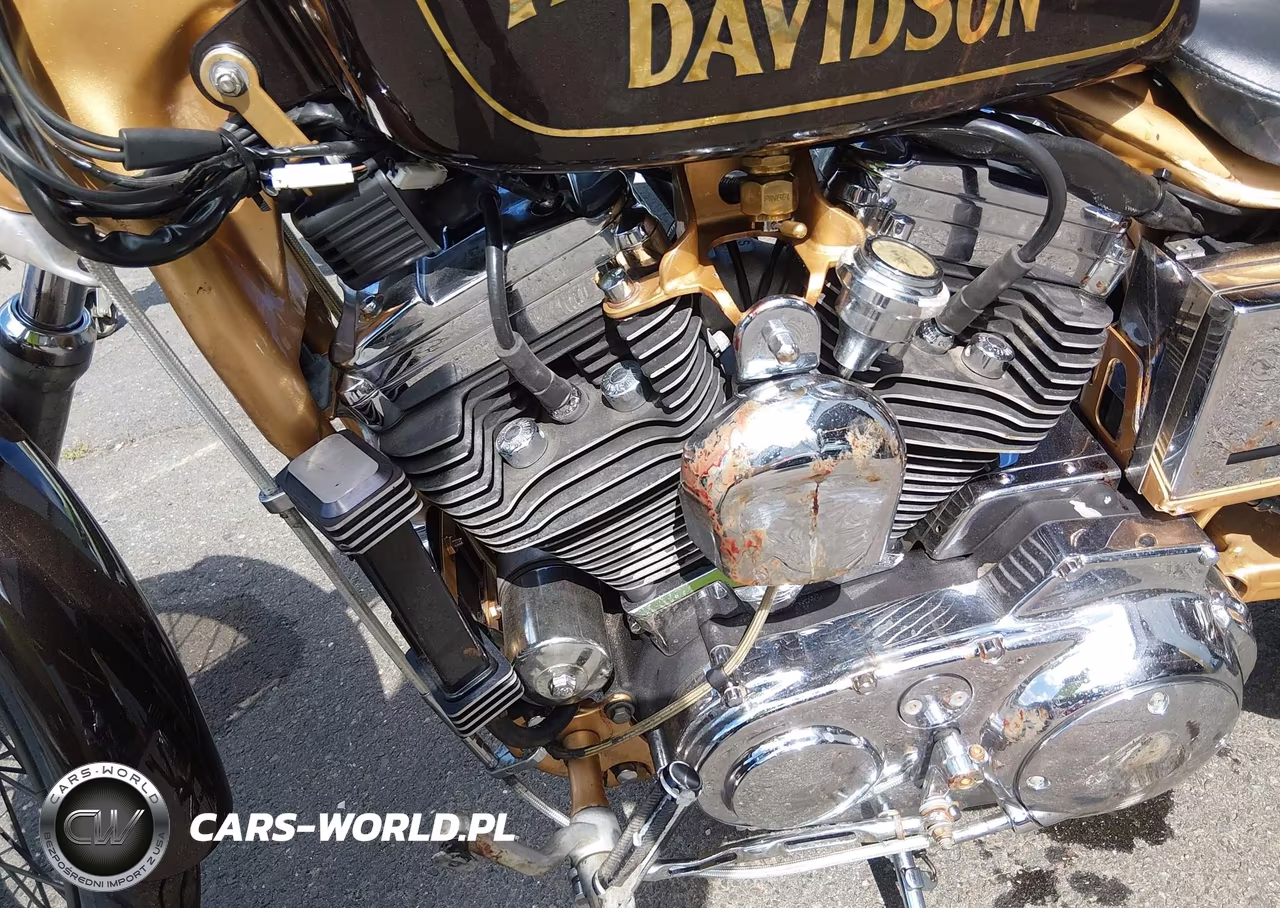 1999 Harley-Davidson Xl1200 C VIN:1HD1CGP12XK134024 - 9