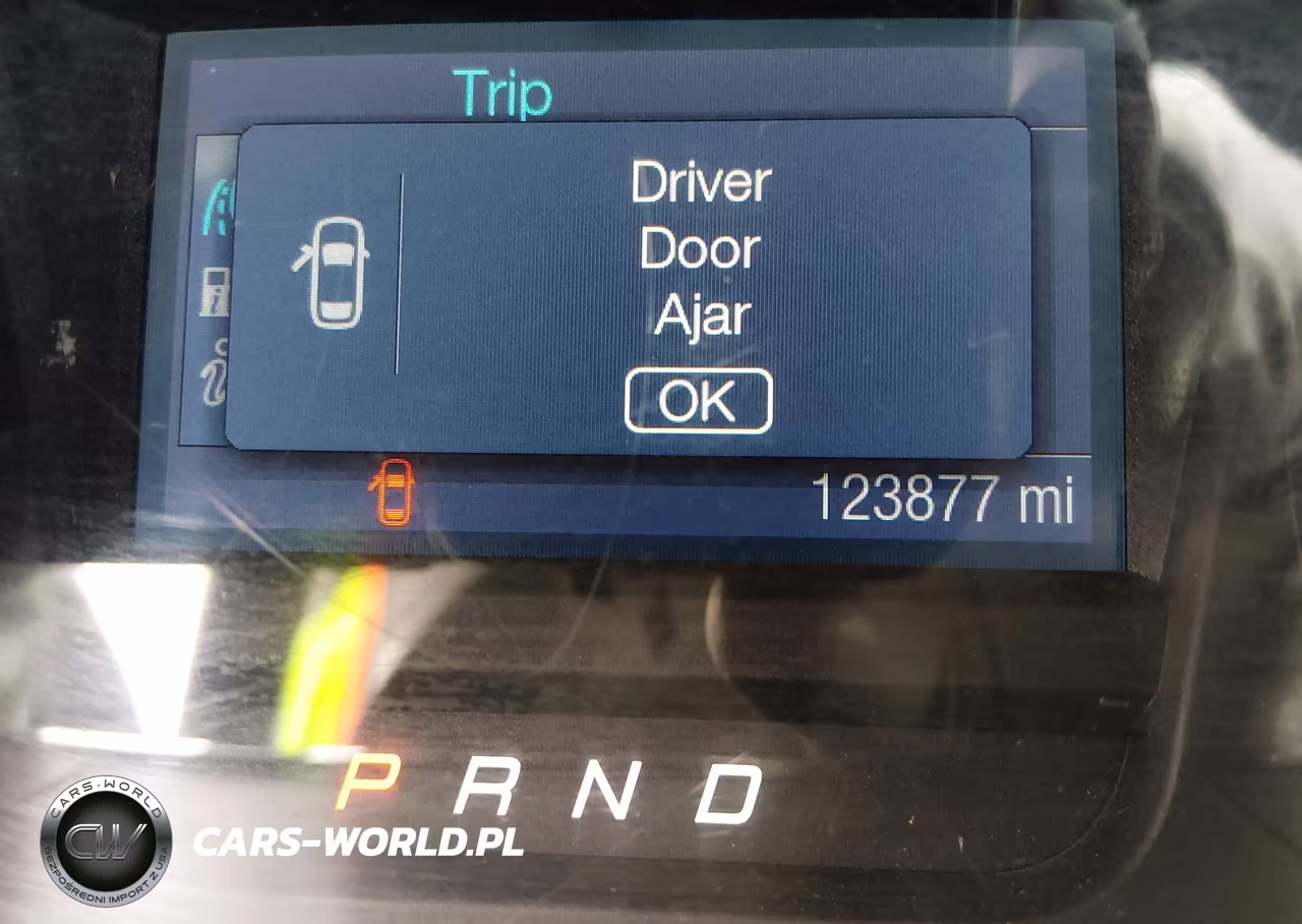 2018 Ford Police Interceptor VIN:1FAHP2MK6JG125895 - 16