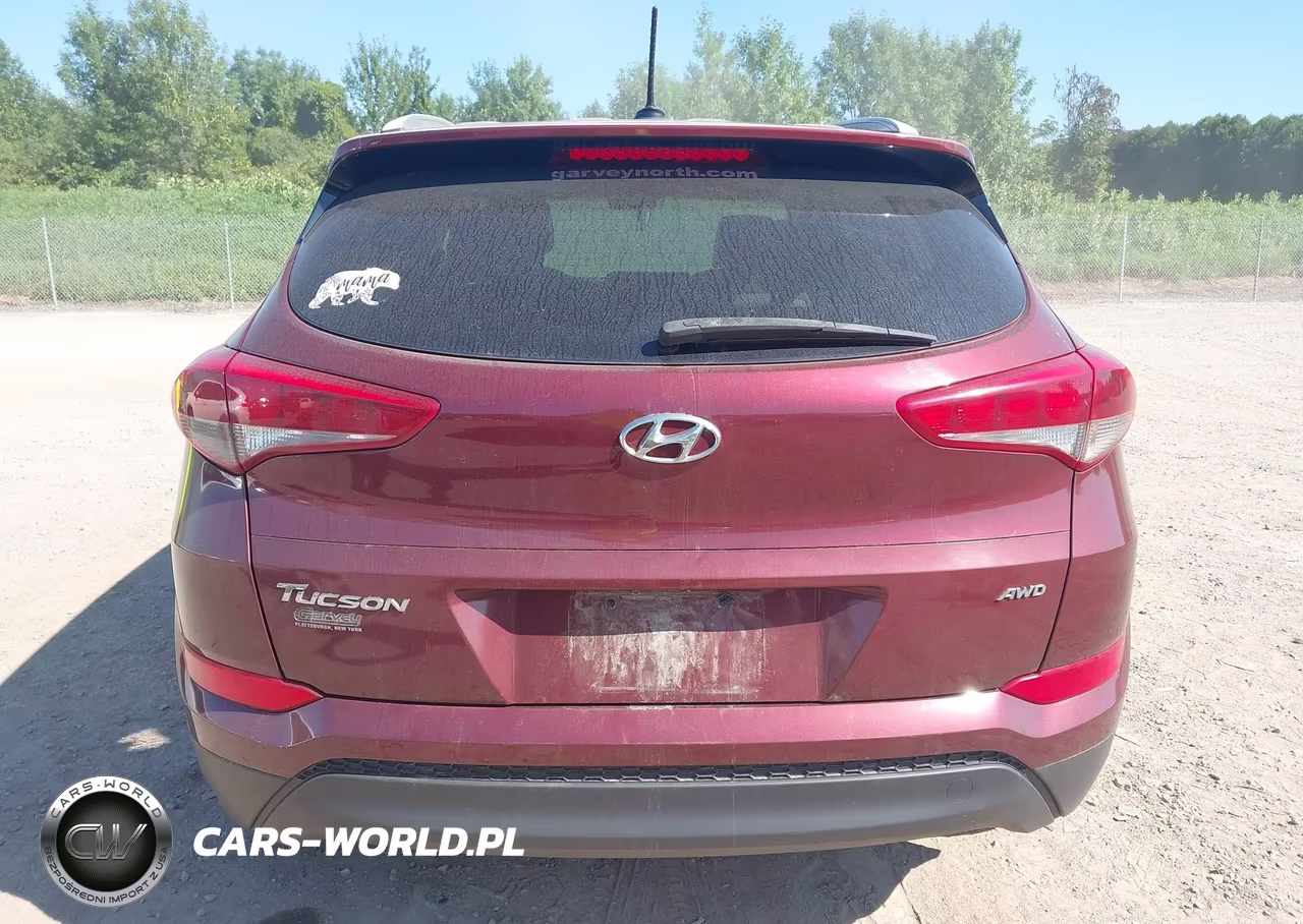 2016 Hyundai Tucson Se VIN:KM8J3CA41GU105336 - 17