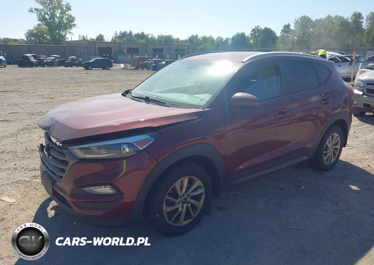 2016 Hyundai Tucson Se VIN:KM8J3CA41GU105336 - 2