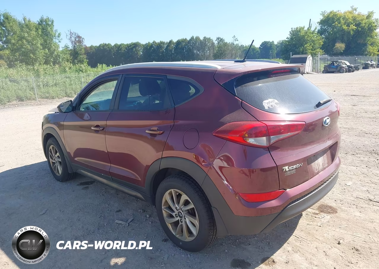 2016 Hyundai Tucson Se VIN:KM8J3CA41GU105336 - 3