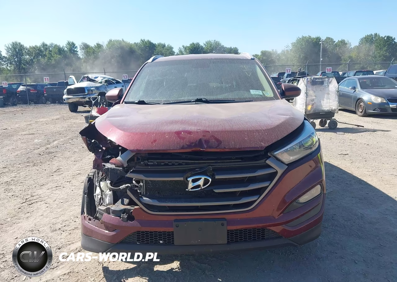 2016 Hyundai Tucson Se VIN:KM8J3CA41GU105336 - 6