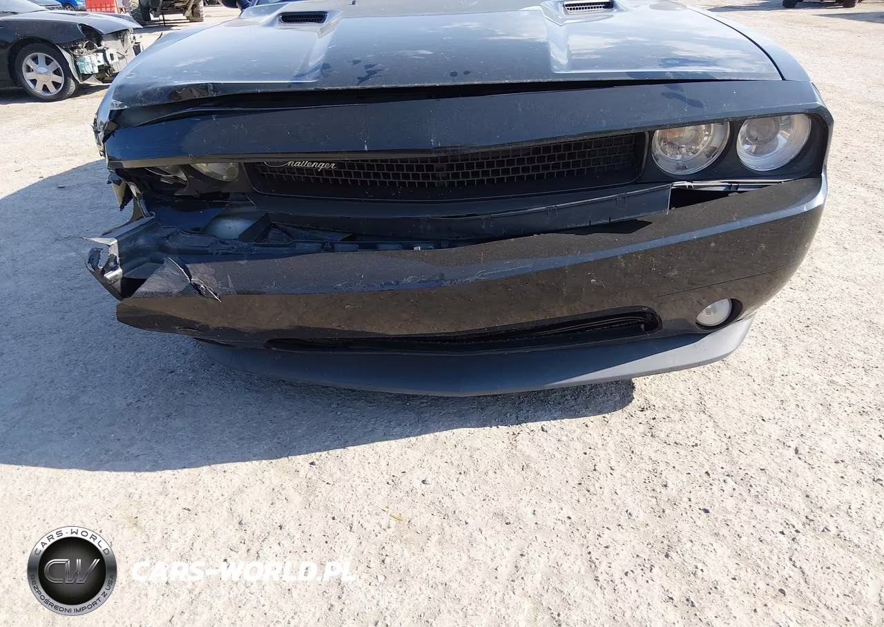 2014 Dodge Challenger Sxt 100Th Anniversary Appearance Group VIN:2C3CDYAG7EH218309 - 6