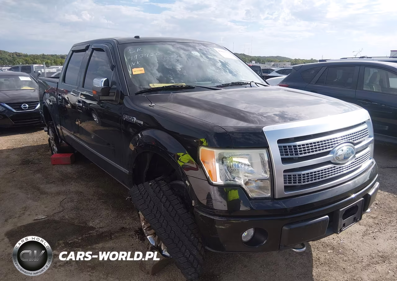2009 Ford F-150 Fx4-King Ranch-Lariat-Platinum-Xl-Xlt