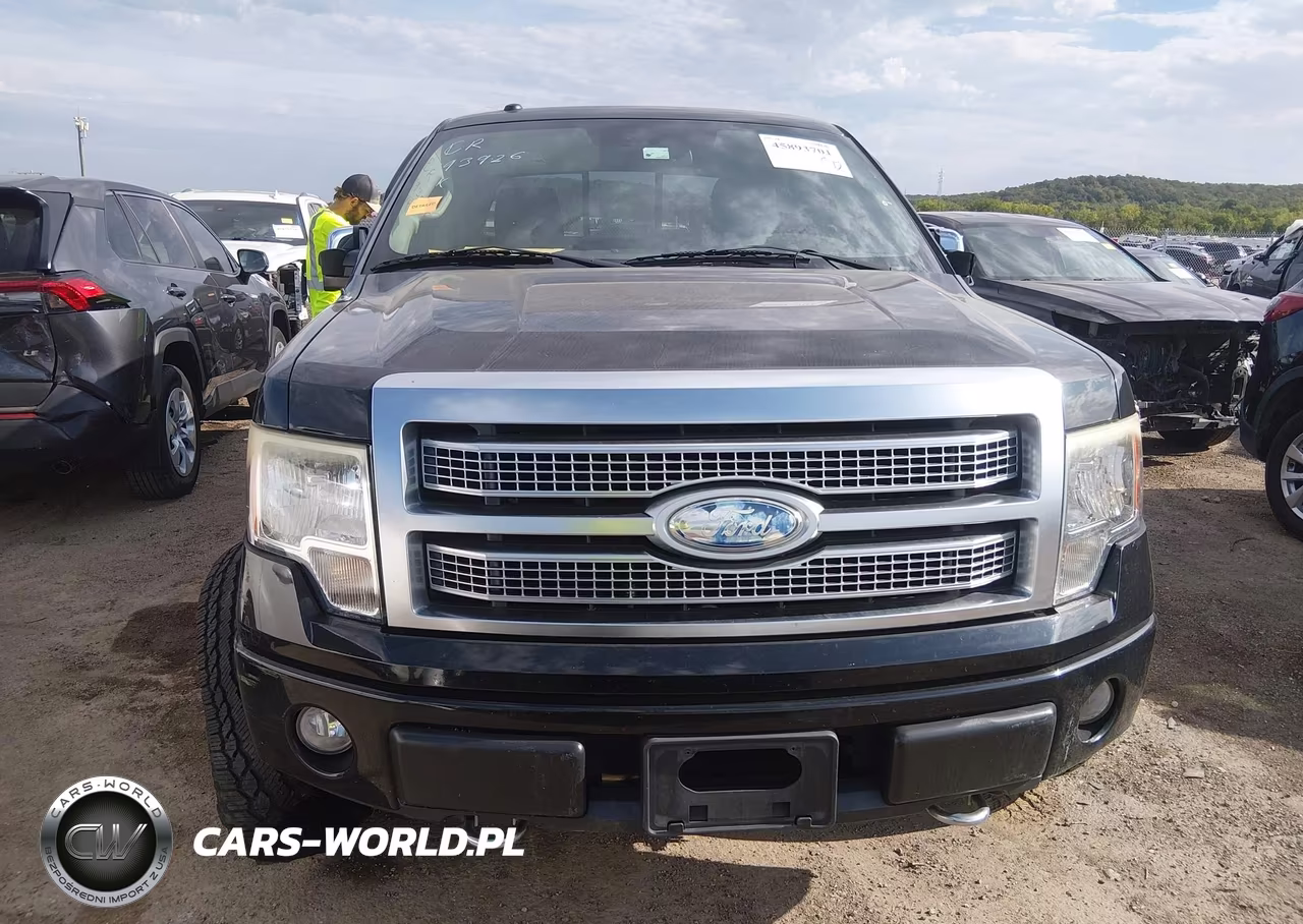 2009 Ford F-150 Fx4-King Ranch-Lariat-Platinum-Xl-Xlt VIN:1FTPW14V69FA89947 - 12