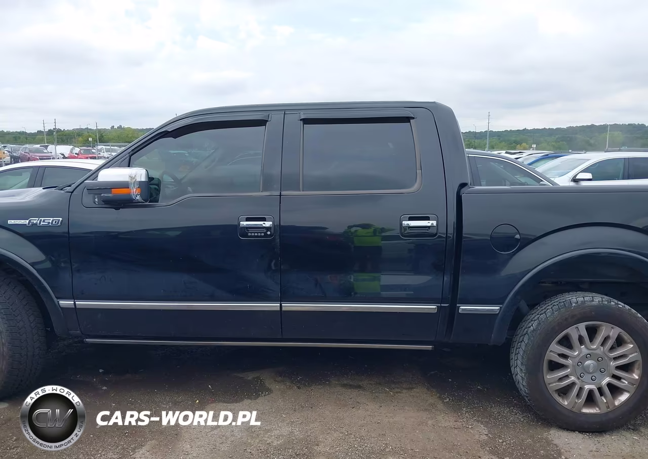 2009 Ford F-150 Fx4-King Ranch-Lariat-Platinum-Xl-Xlt VIN:1FTPW14V69FA89947 - 14