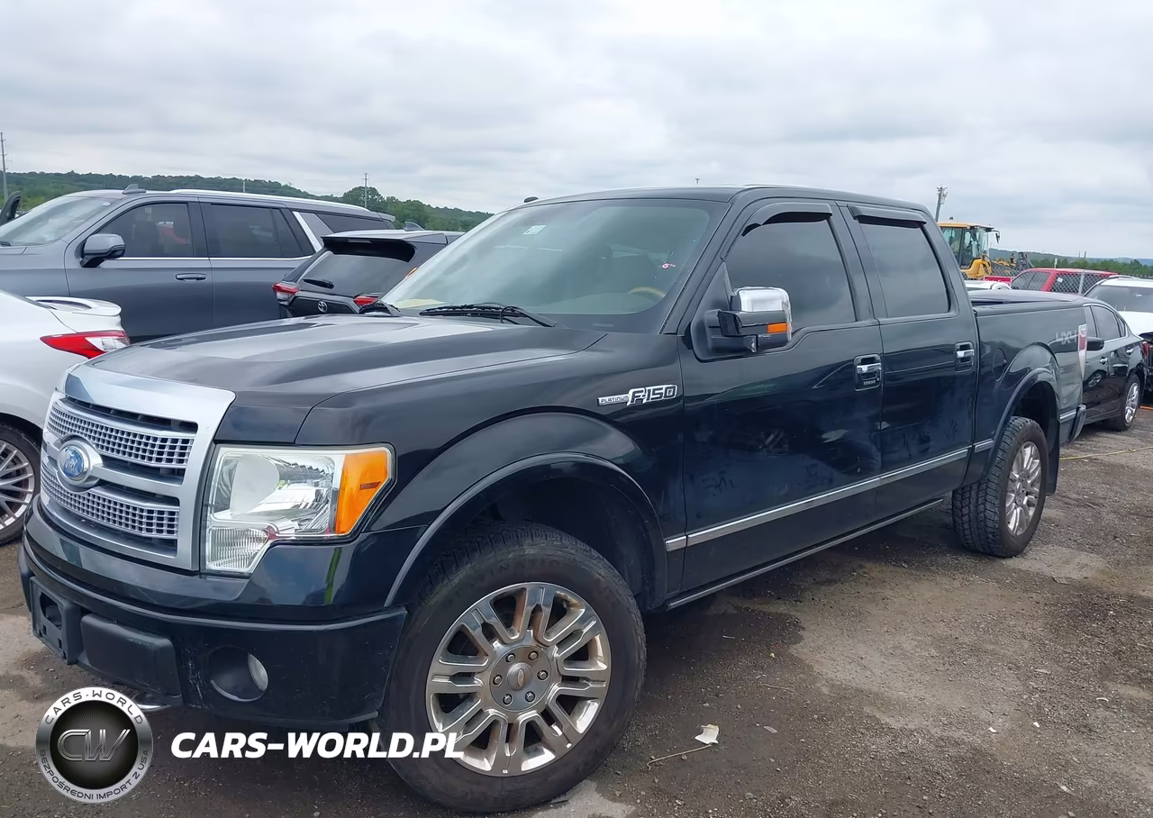 2009 Ford F-150 Fx4-King Ranch-Lariat-Platinum-Xl-Xlt VIN:1FTPW14V69FA89947 - 2