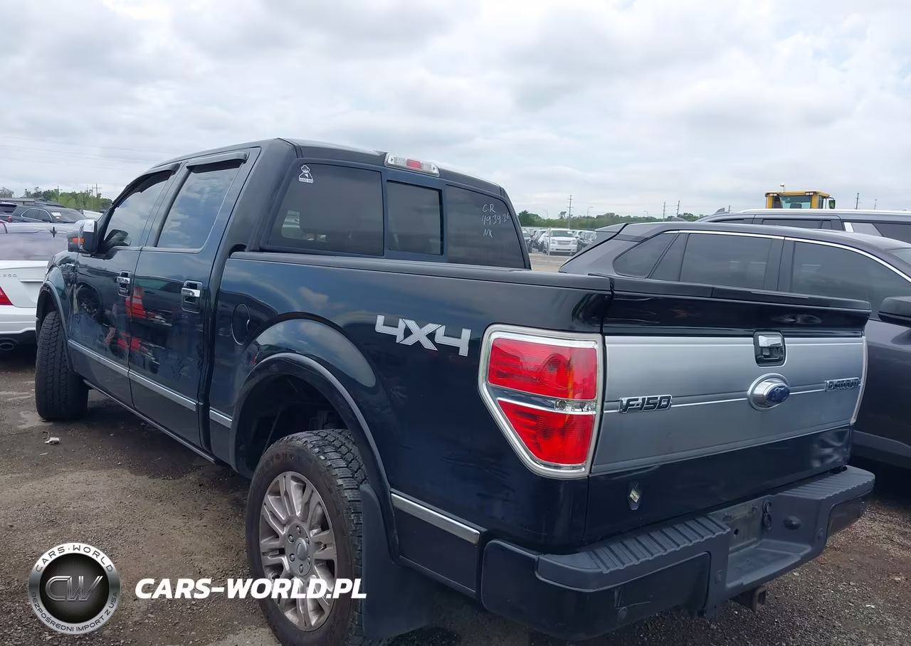 2009 Ford F-150 Fx4-King Ranch-Lariat-Platinum-Xl-Xlt VIN:1FTPW14V69FA89947 - 3