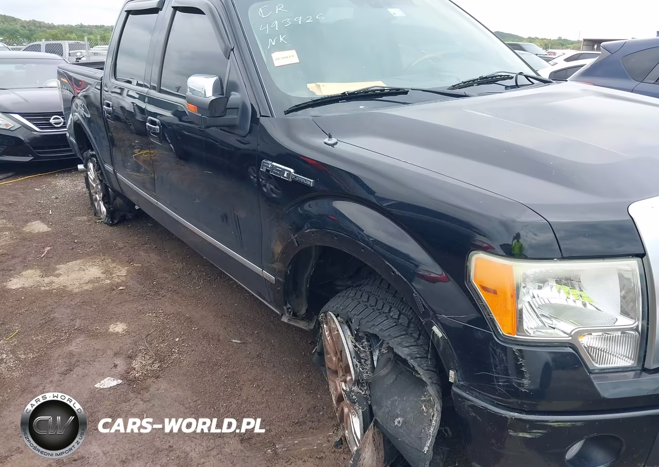 2009 Ford F-150 Fx4-King Ranch-Lariat-Platinum-Xl-Xlt VIN:1FTPW14V69FA89947 - 6