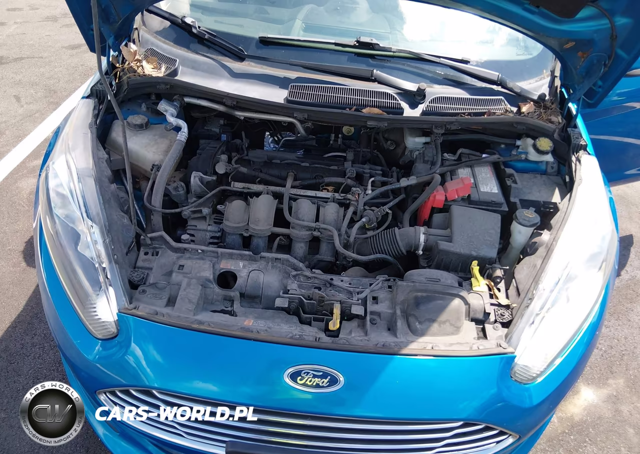2015 Ford Fiesta Se VIN:3FADP4BJ3FM224627 - 10