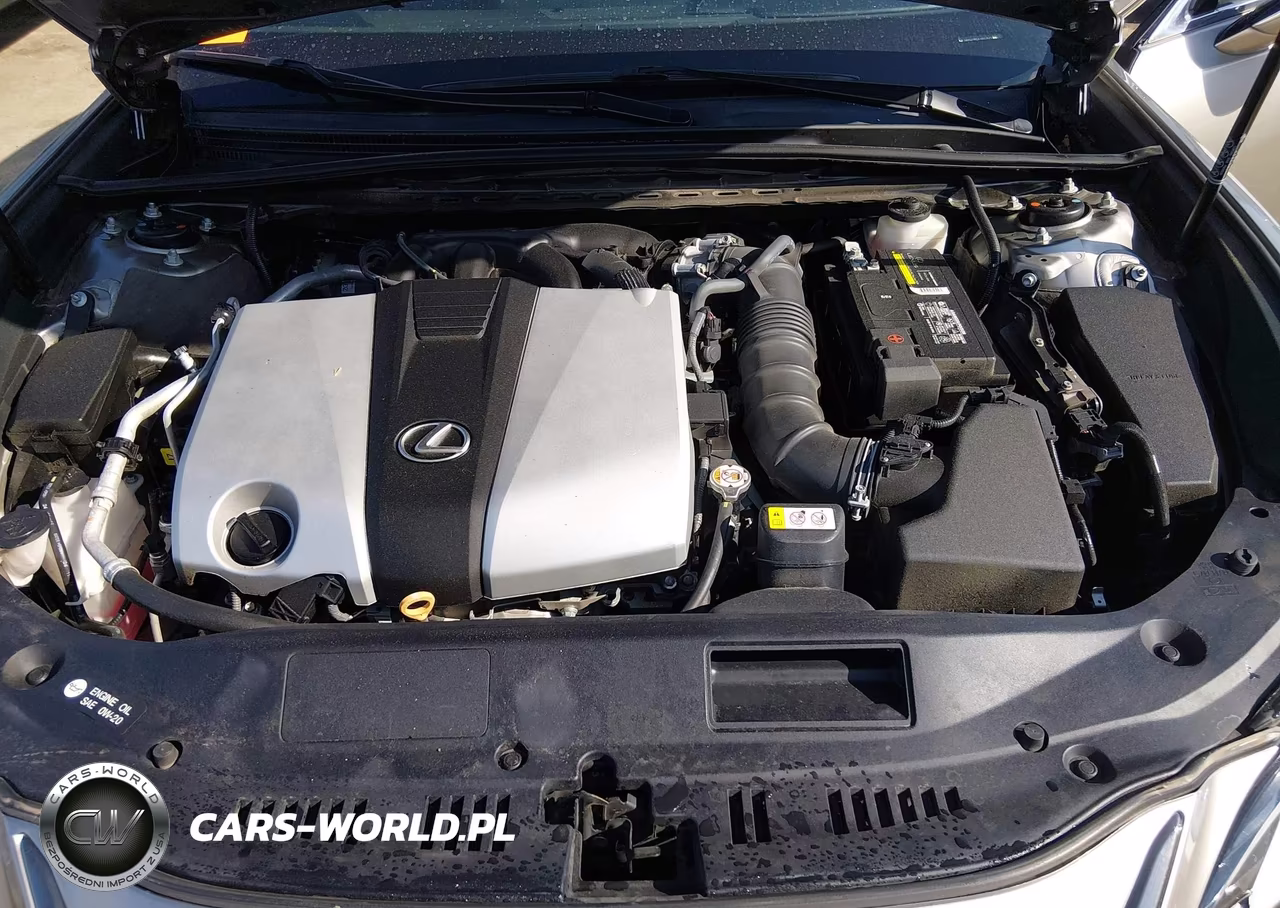 2020 Lexus Es 350 F Sport VIN:58AGZ1B13LU077673 - 10