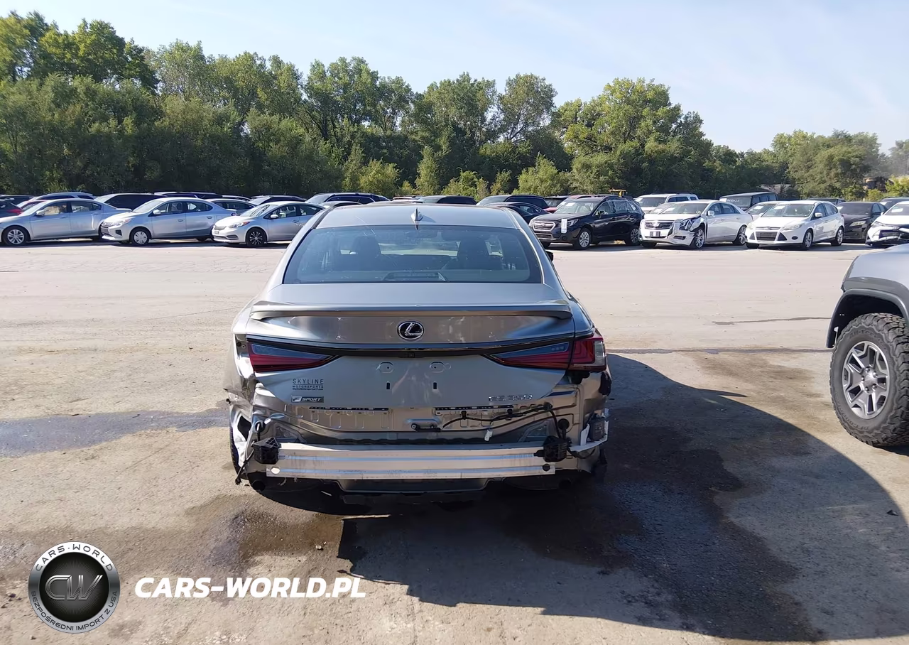 2020 Lexus Es 350 F Sport VIN:58AGZ1B13LU077673 - 6
