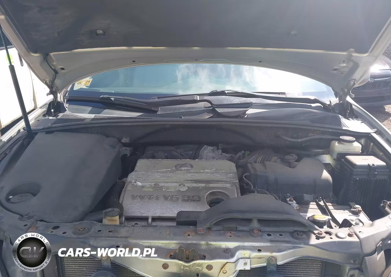 2004 Lexus Rx 330 VIN:2T2HA31U84C024363 - 10