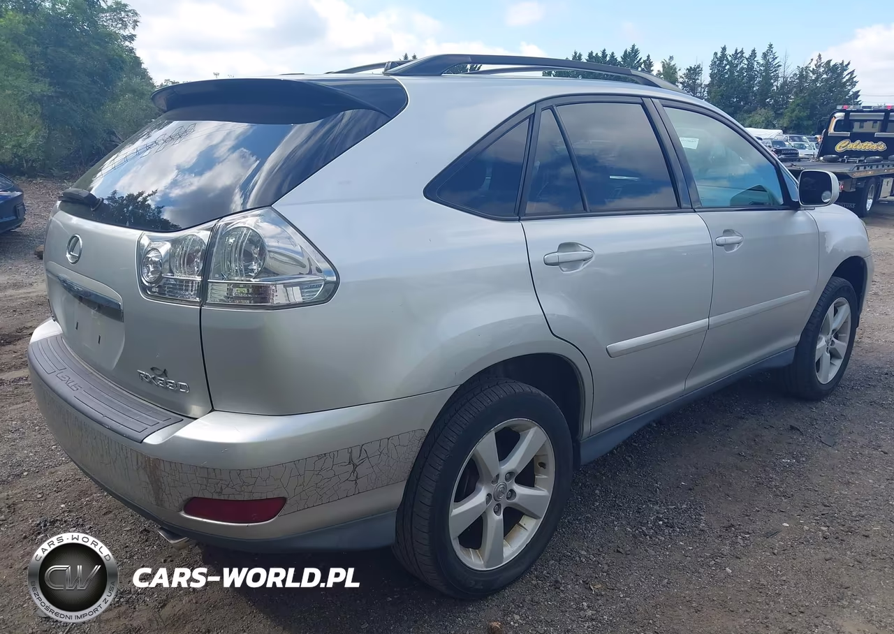2004 Lexus Rx 330 VIN:2T2HA31U84C024363 - 4