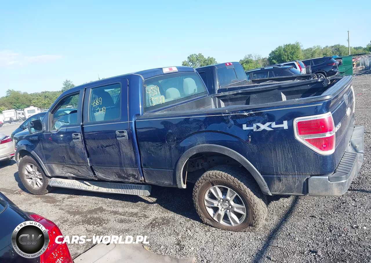 2012 Ford F-150 Xl VIN:1FTFW1EF6CKD29225 - 14