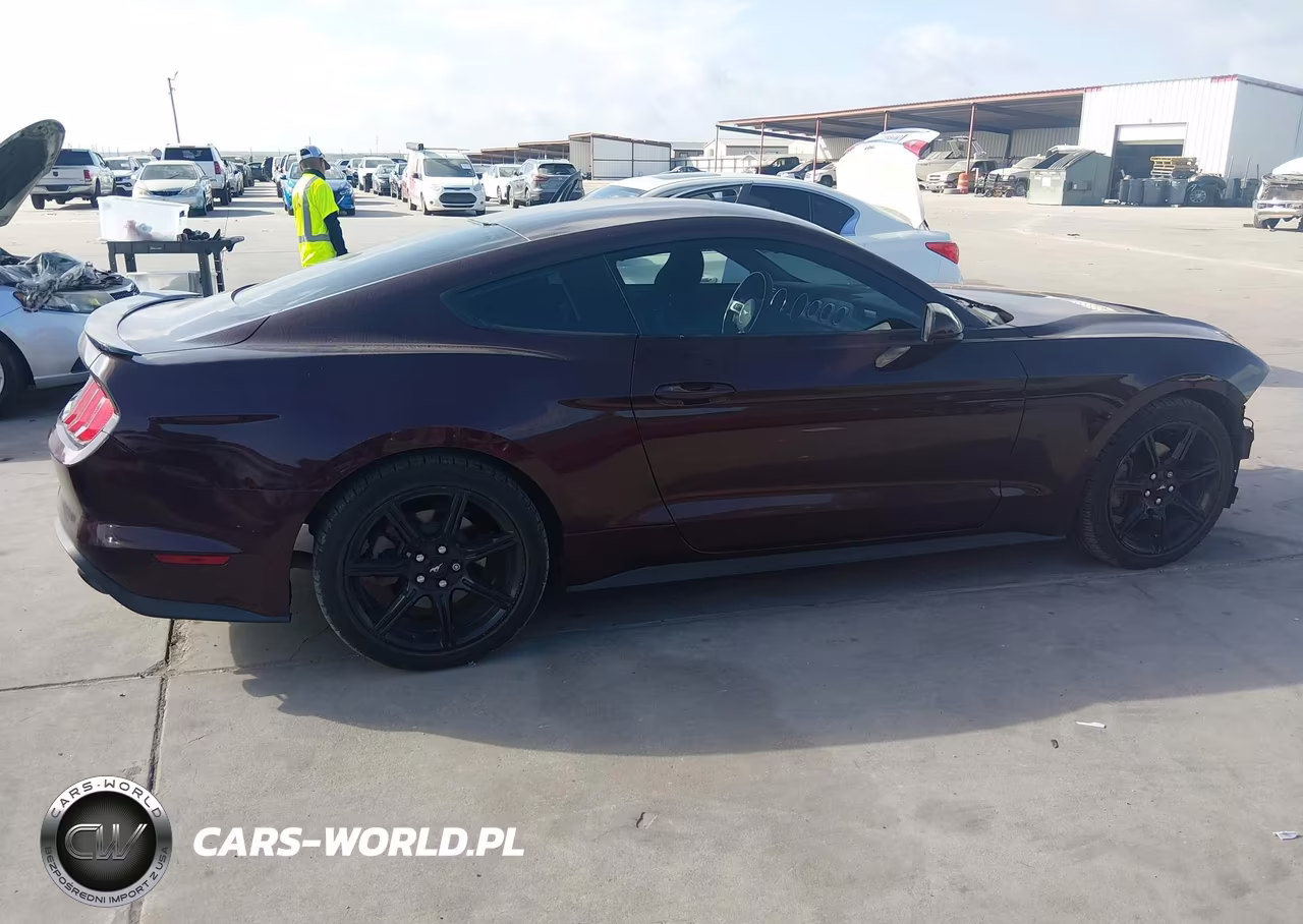 2018 Ford Mustang Ecoboost VIN:1FA6P8TH1J5180248 - 14
