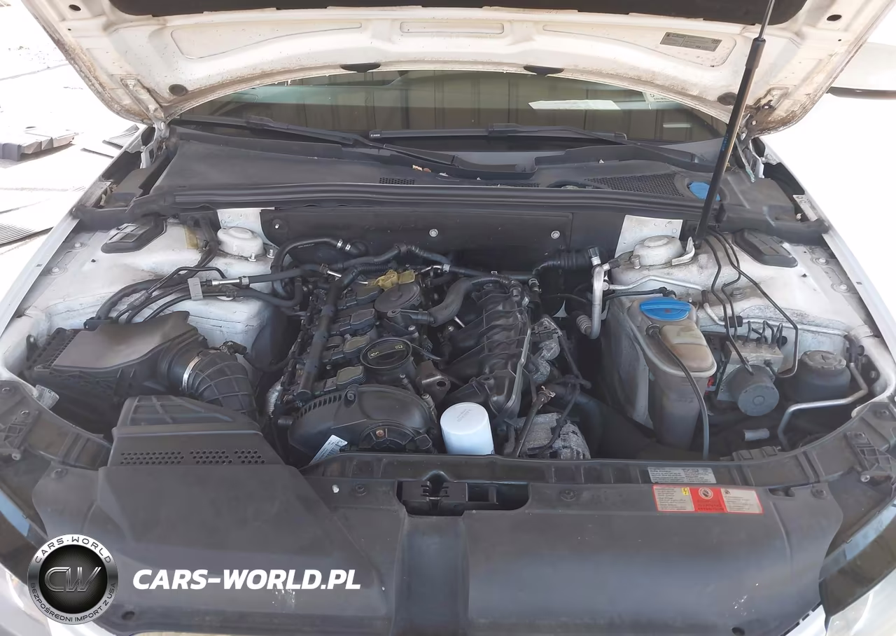 2010 Audi A4 2.0T Premium VIN:WAUBFAFLXAN031238 - 10