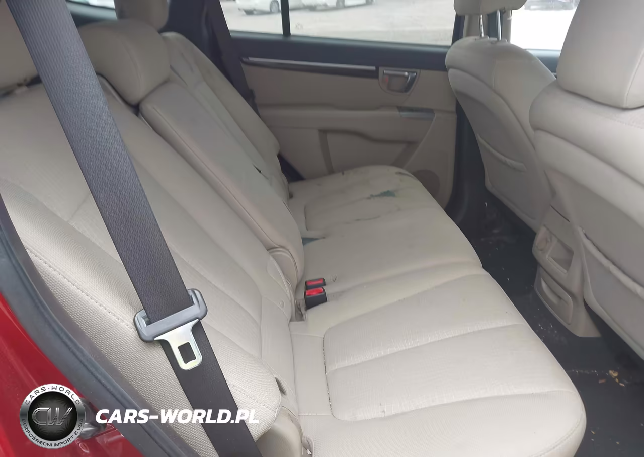 2010 Hyundai Santa Fe Gls VIN:5NMSGDAB3AH379458 - 8