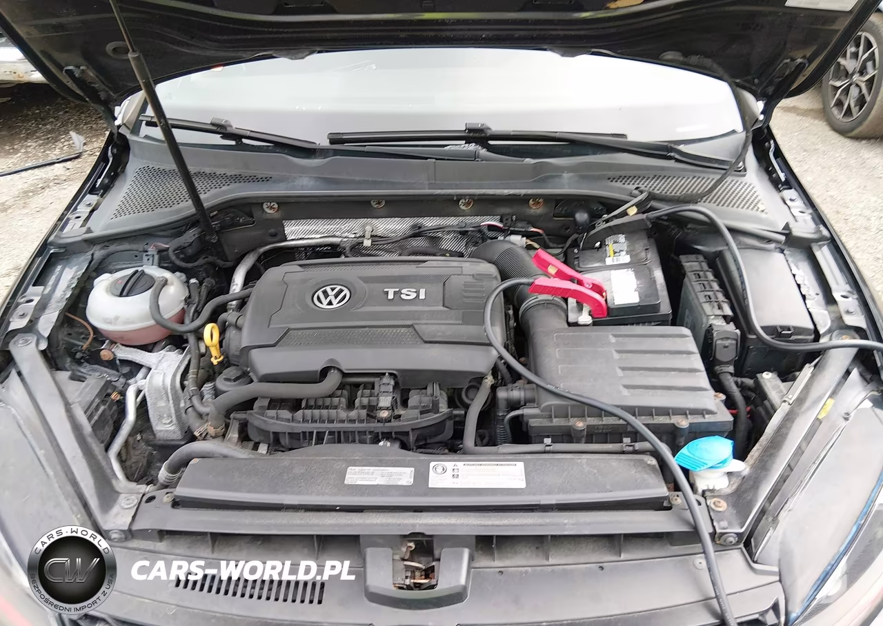 2016 Volkswagen Golf Gti Se 4-Door VIN:3VW4T7AU6GM017781 - 10