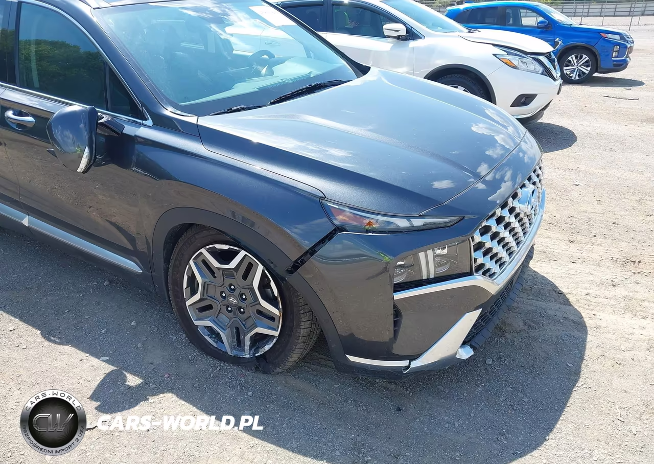 2022 Hyundai Santa Fe Limited VIN:5NMS44AL3NH449872 - 6