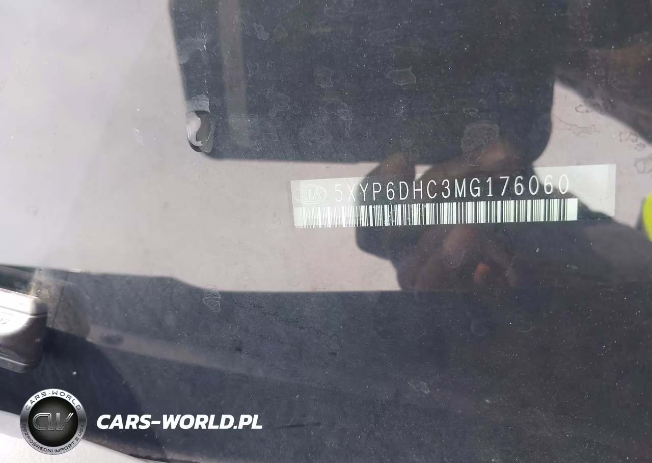 2021 Kia Telluride S VIN:5XYP6DHC3MG176060 - 9