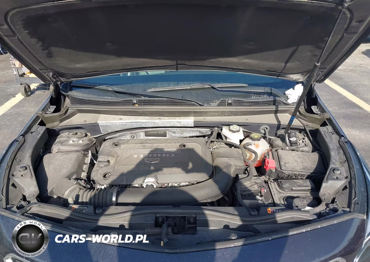 2023 Cadillac Xt4 Fwd Luxury VIN:1GYAZAR42PF136153 - 10