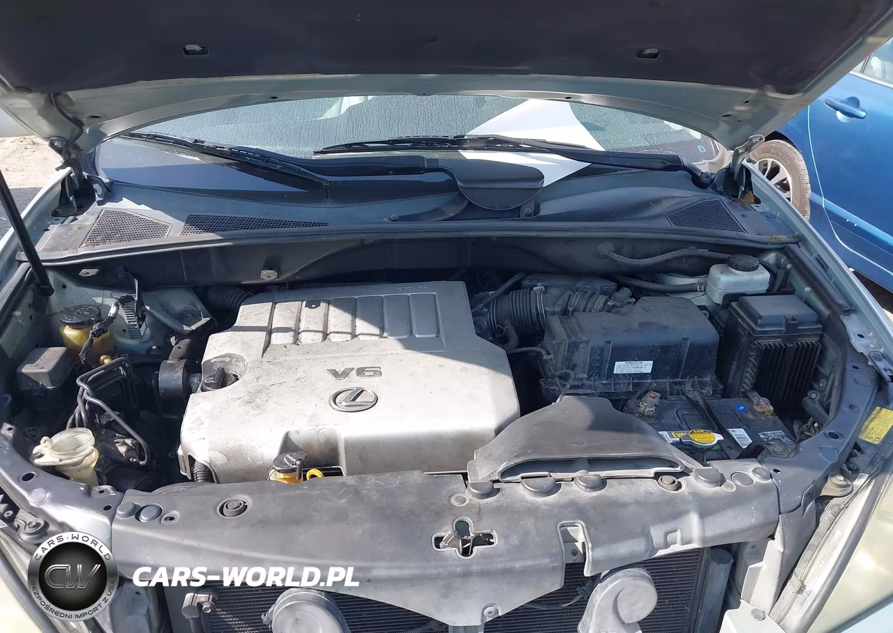 2007 Lexus Rx 350 VIN:2T2GK31U17C020412 - 10
