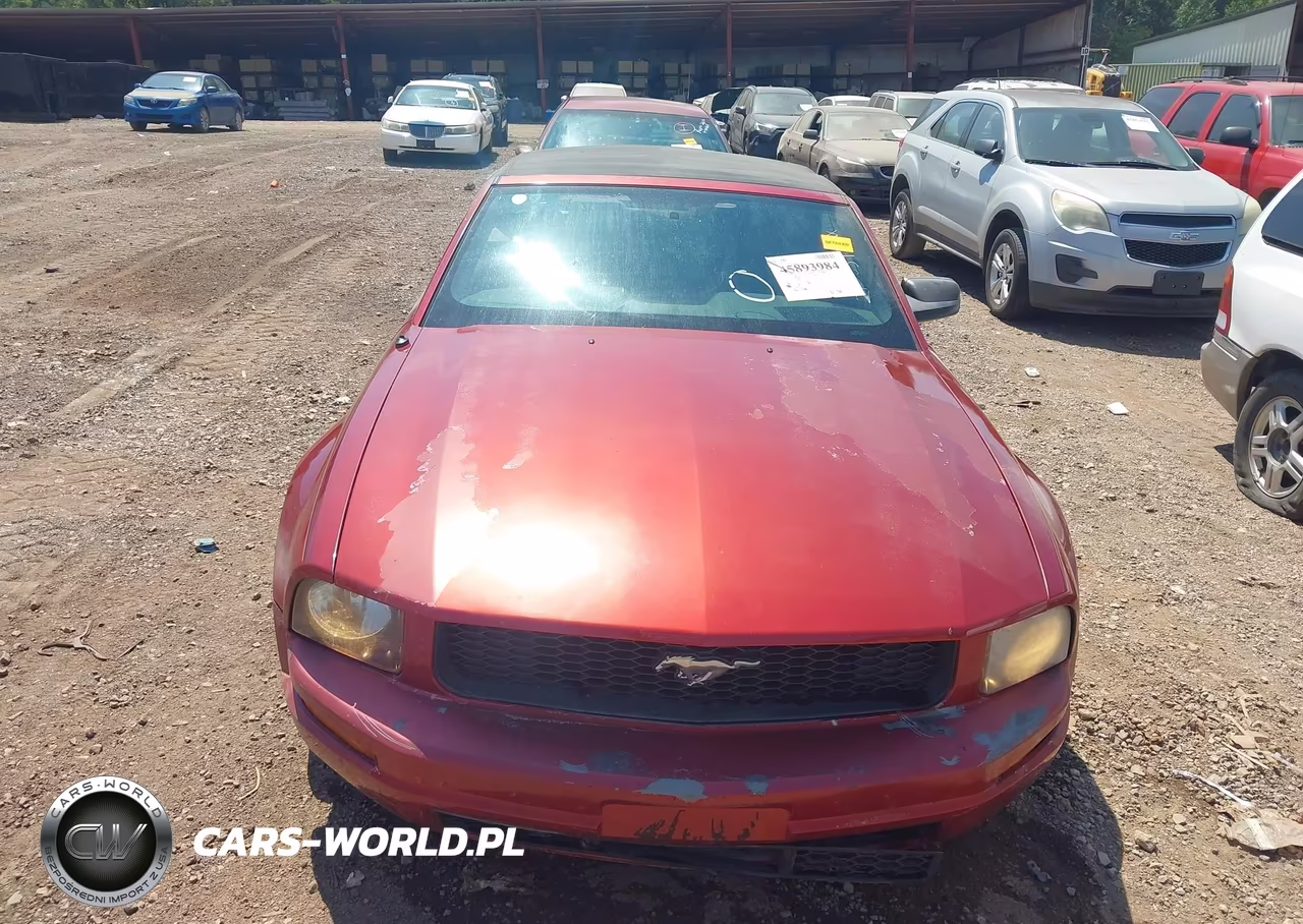 2007 Ford Mustang V6 Deluxe-V6 Premium VIN:1ZVFT84N175210039 - 6