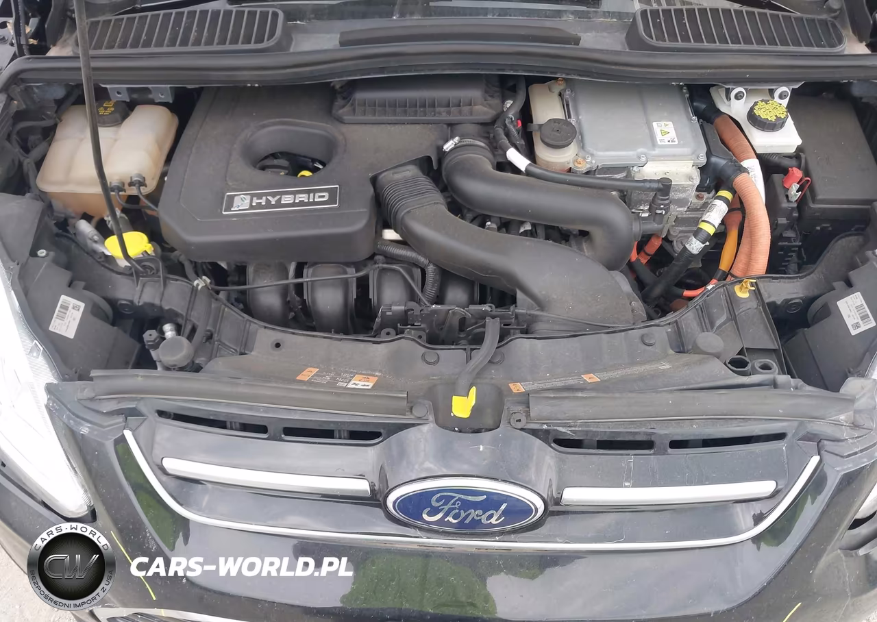 2017 FORD C-MAX SE VIN:1FADP5AU6HL103483 - 10