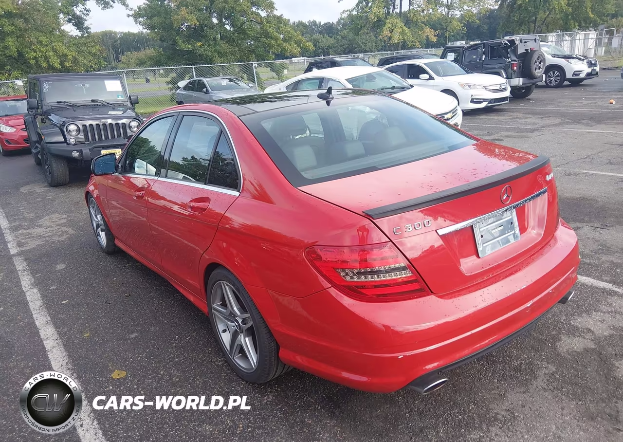 2009 Mercedes-Benz C 300 Luxury 4Matic-Sport 4Matic VIN:WDDGF81X99F245452 - 3