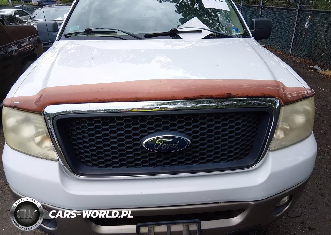 2006 Ford F-150 Fx4-Lariat-Xlt VIN:1FTPW145X6FA86349 - 6