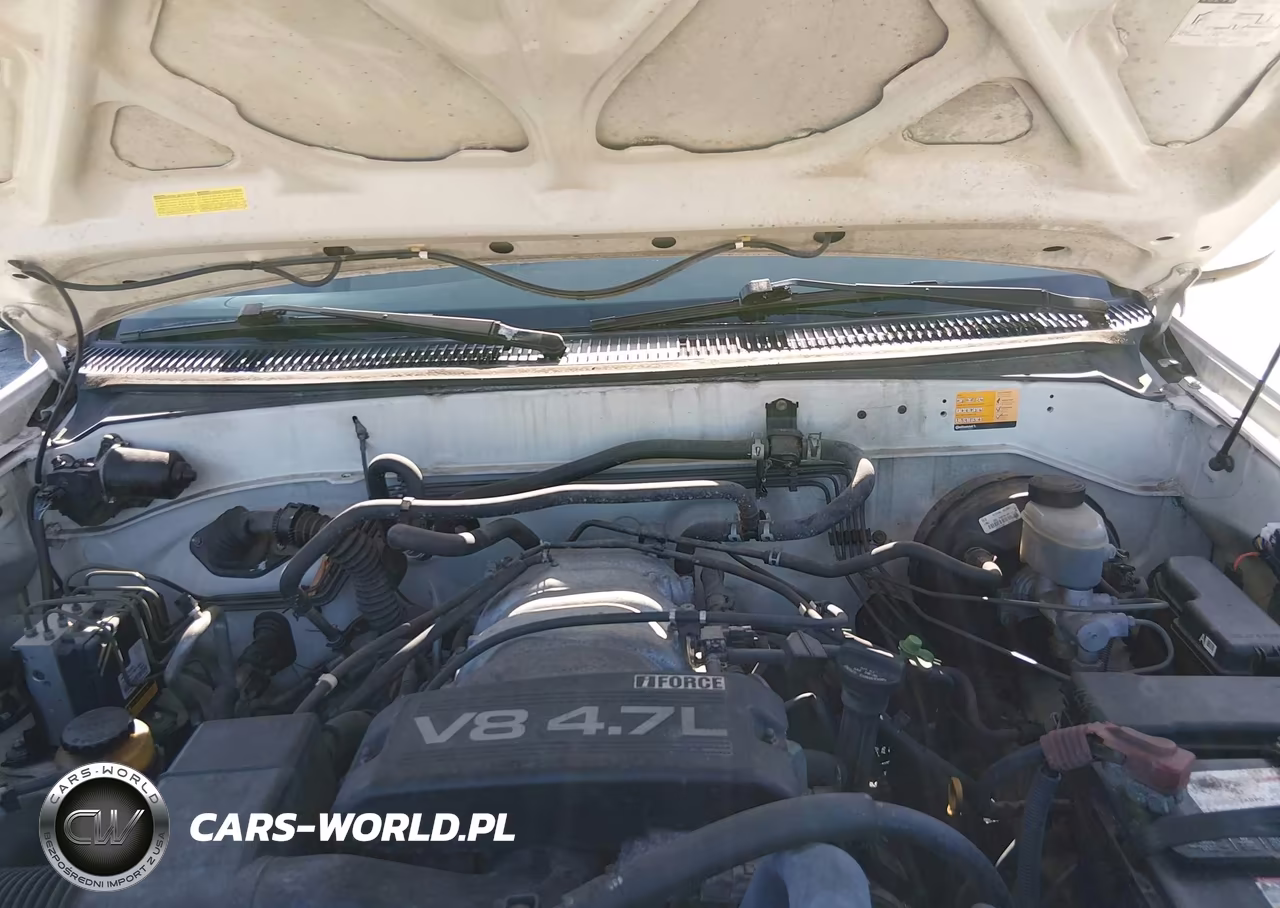 2001 Toyota Sequoia Sr5 V8 VIN:5TDZT34A21S002141 - 10