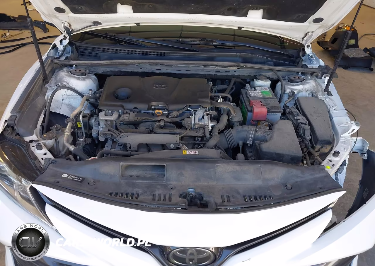 2020 Toyota Camry Le VIN:4T1C11AK7LU941745 - 10