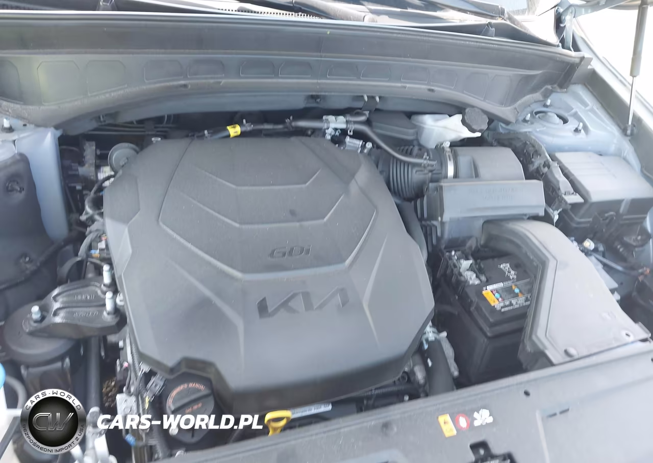 2025 Kia Telluride S VIN:5XYP6DGC4SG630802 - 10