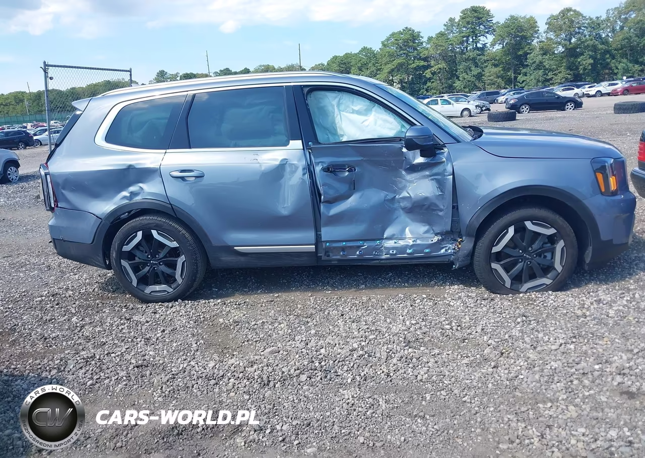 2025 Kia Telluride S VIN:5XYP6DGC4SG630802 - 13