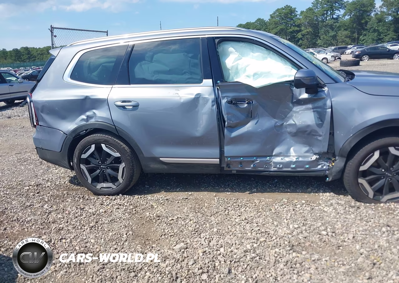 2025 Kia Telluride S VIN:5XYP6DGC4SG630802 - 6