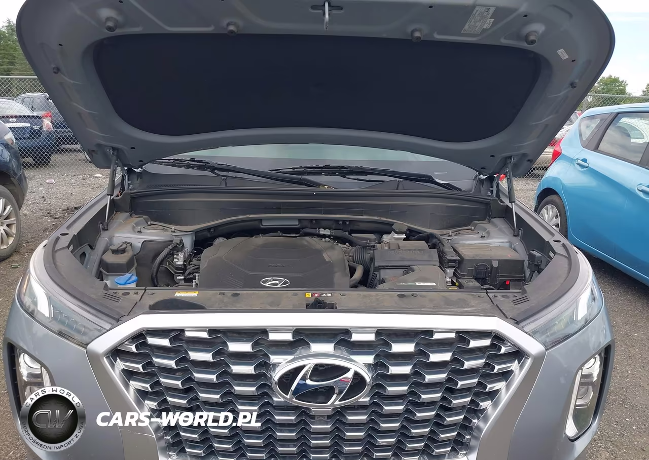 2021 Hyundai Palisade Limited VIN:KM8R5DHE9MU186079 - 10