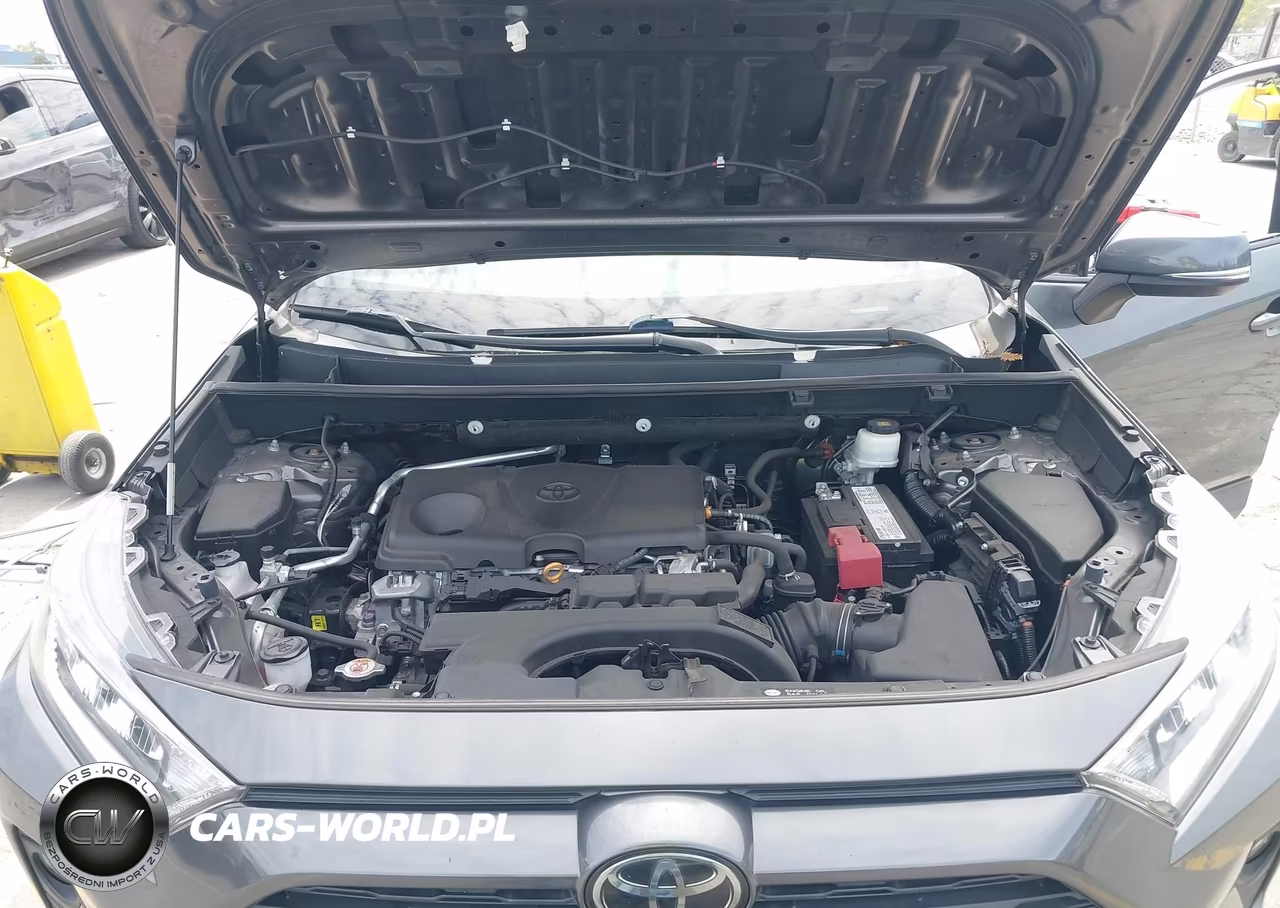 2019 Toyota Rav4 Xle VIN:2T3W1RFV5KC025815 - 10