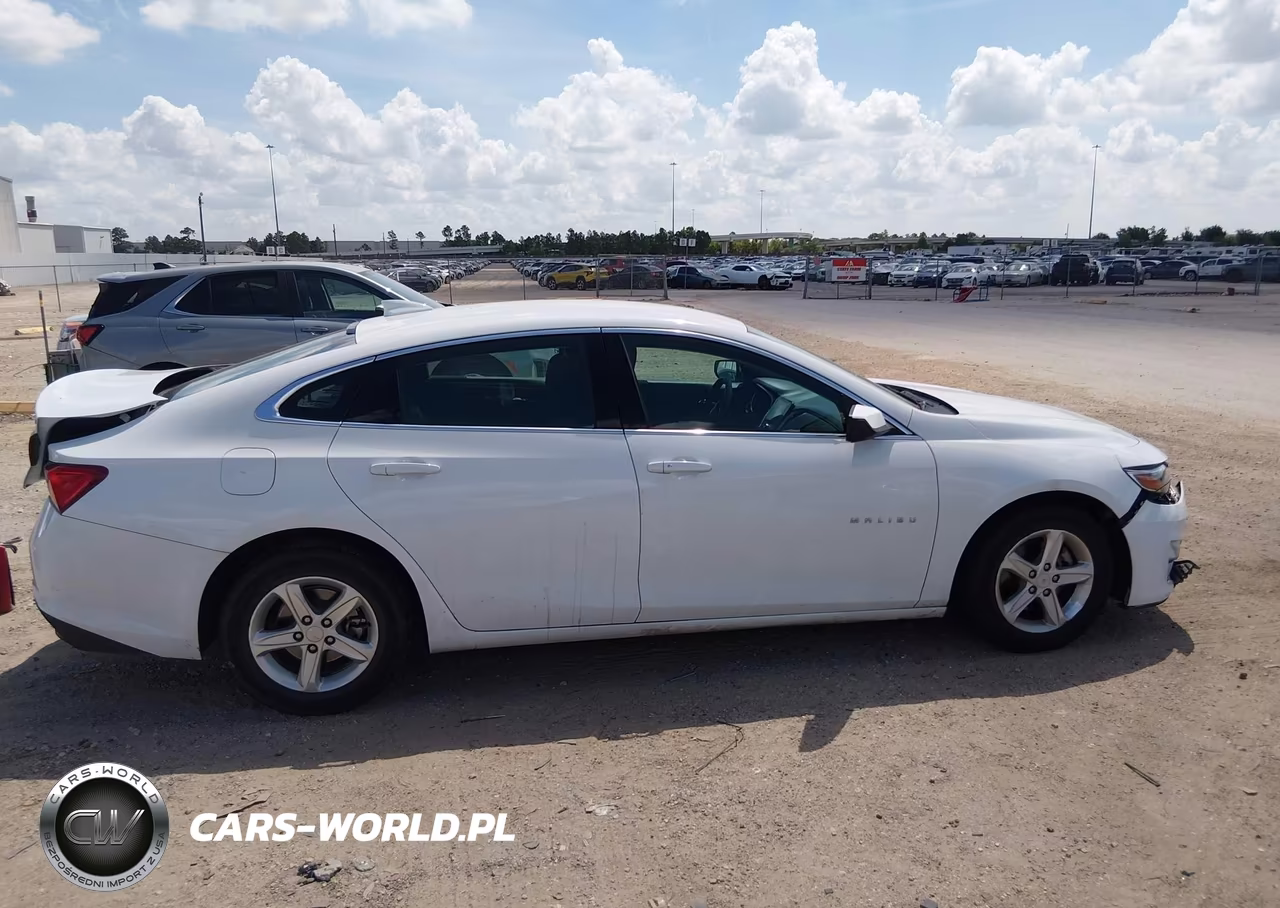 2023 Chevrolet Malibu Fwd 1Lt VIN:1G1ZD5ST8PF203699 - 13