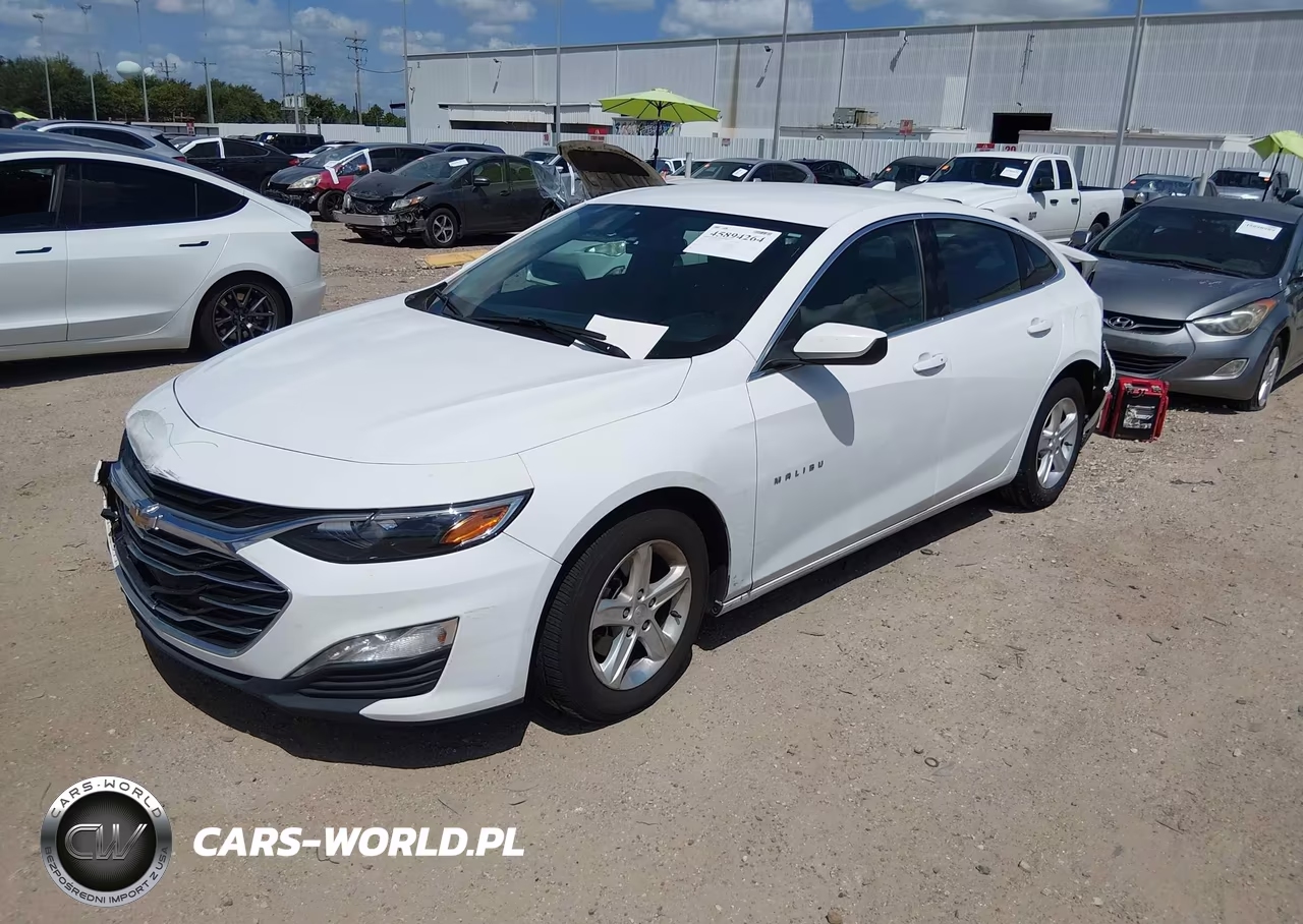 2023 Chevrolet Malibu Fwd 1Lt VIN:1G1ZD5ST8PF203699 - 2