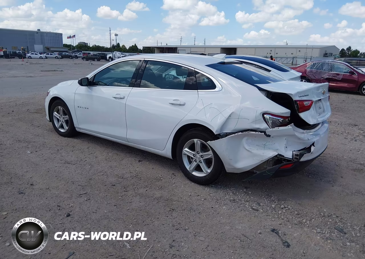 2023 Chevrolet Malibu Fwd 1Lt VIN:1G1ZD5ST8PF203699 - 3