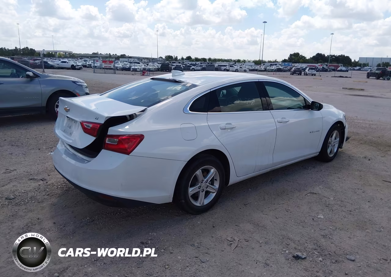 2023 Chevrolet Malibu Fwd 1Lt VIN:1G1ZD5ST8PF203699 - 4