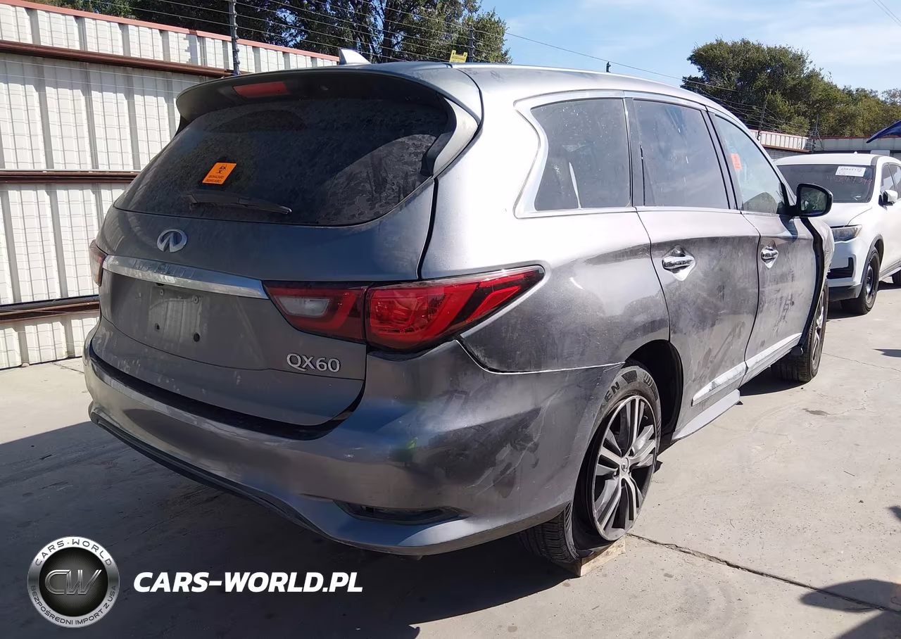 2020 Infiniti Qx60 Pure VIN:5N1DL0MN8LC507760 - 4
