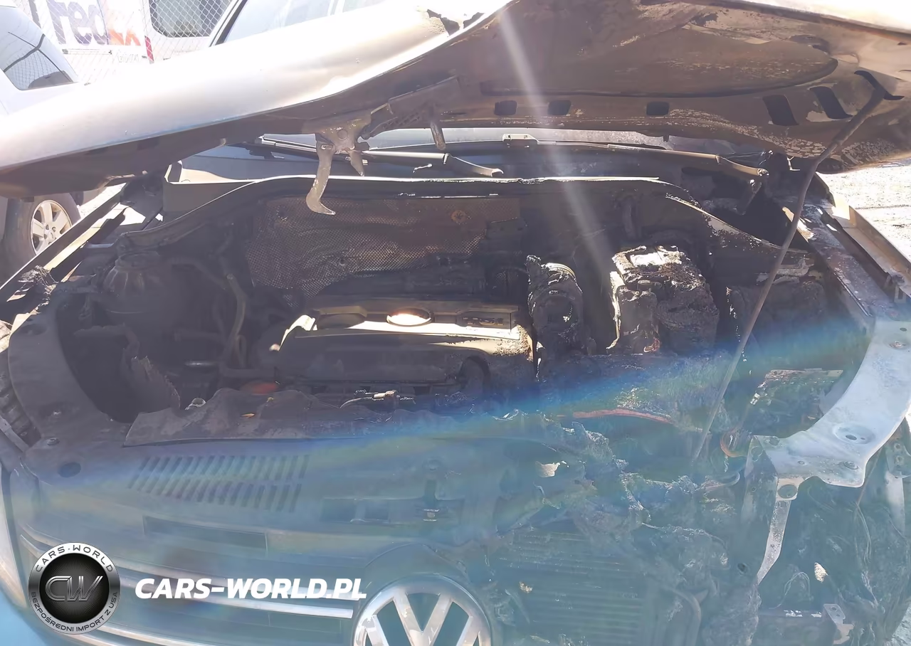 2017 Volkswagen Tiguan 2.0T-2.0T S VIN:WVGAV7AX6HK046678 - 10
