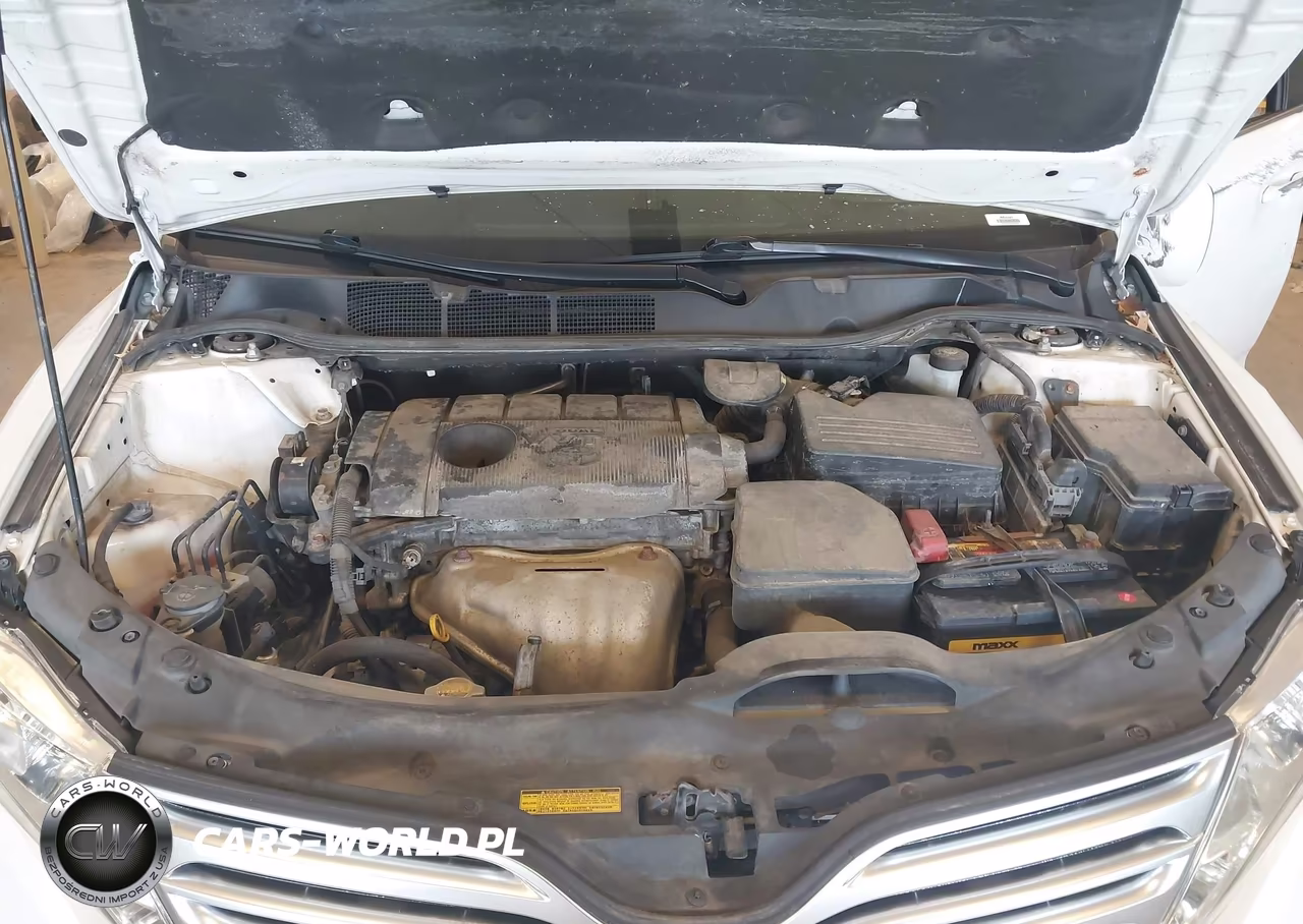 2010 Toyota Venza VIN:4T3ZA3BBXAU035033 - 10