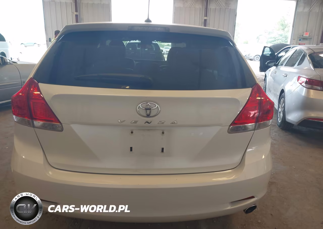 2010 Toyota Venza VIN:4T3ZA3BBXAU035033 - 16