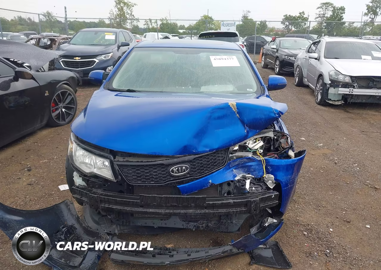 2013 Kia Forte Koup Ex VIN:KNAFU6A2XD5664233 - 11